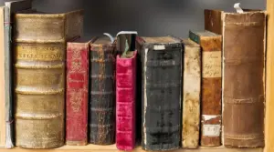 penyebab kerusakan bahan pustaka