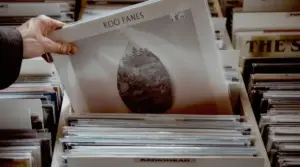 cara memilih vendor pengadaan buku