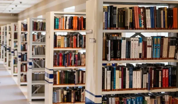 cara-membuat-erd-perpustakaan