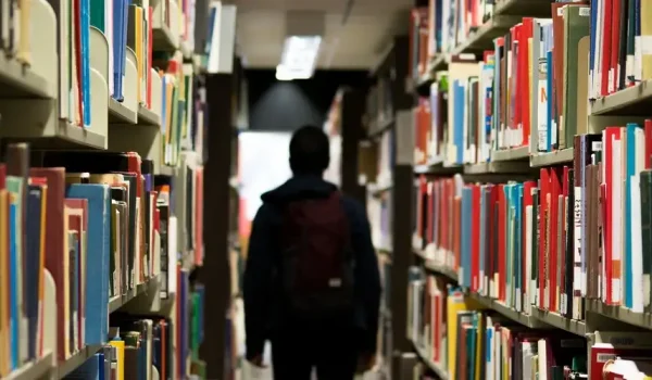 Organisasi Kepustakawanan Internasional