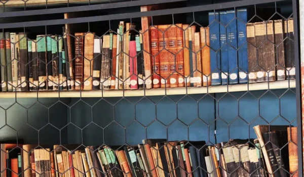 perbedaan npp dan akreditasi perpustakaan