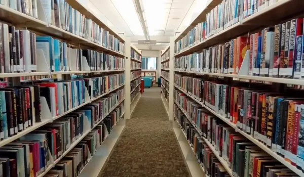 perpustakaan sekolah
