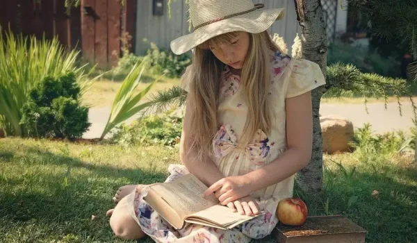 pohon literasi